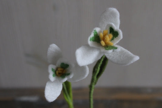 Close-up van sneeuwklokjes met gele meeldraadjes handgemaakt van vilt met een lichte achtergrond