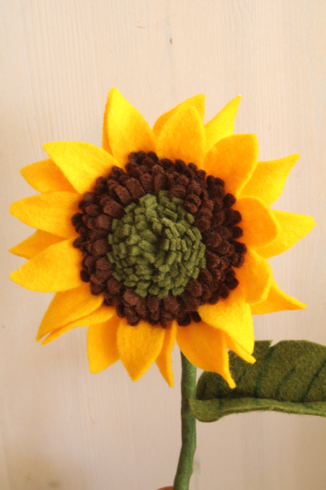 Zonnebloem