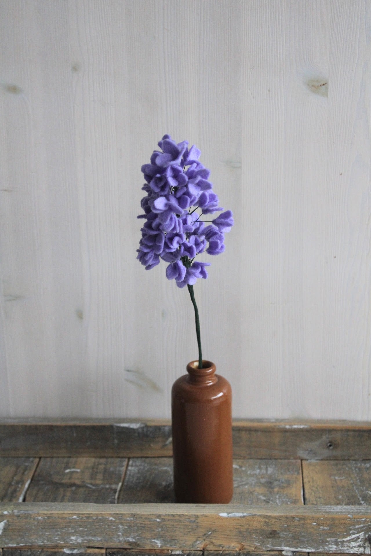 Hortensia groot