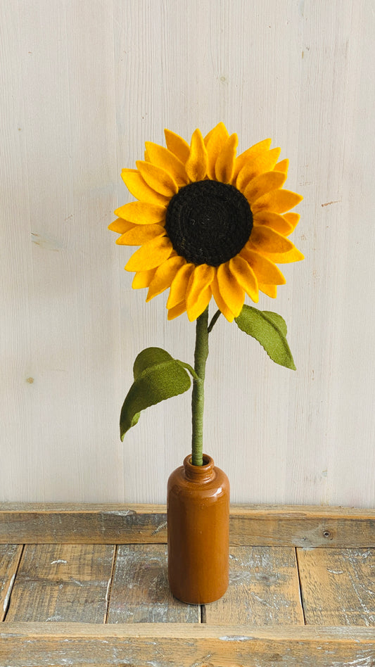 Sonnenblume
