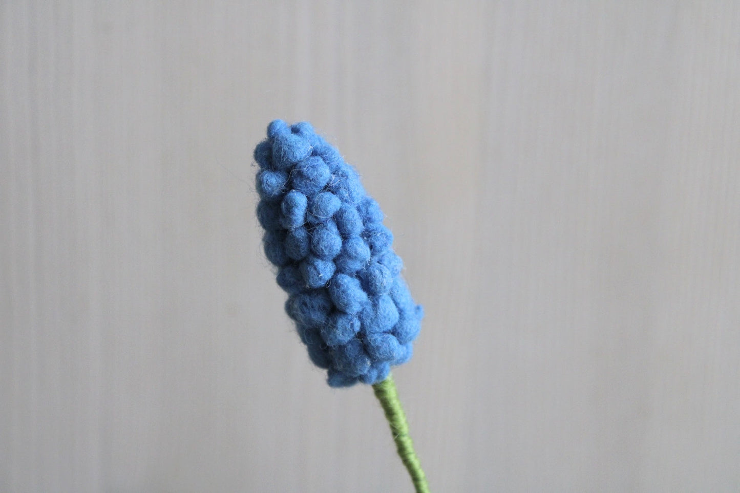 close-up Vilten blauw druifje handgemaakt als lente decoratie met een lichte achtergrond