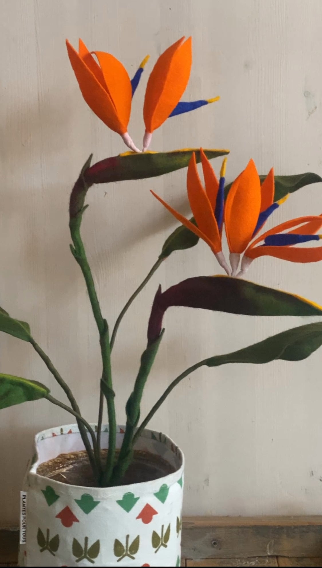 Handgemaakte strelitzia van wolvilt als plant in een pot met twee bloemen en vier bladeren