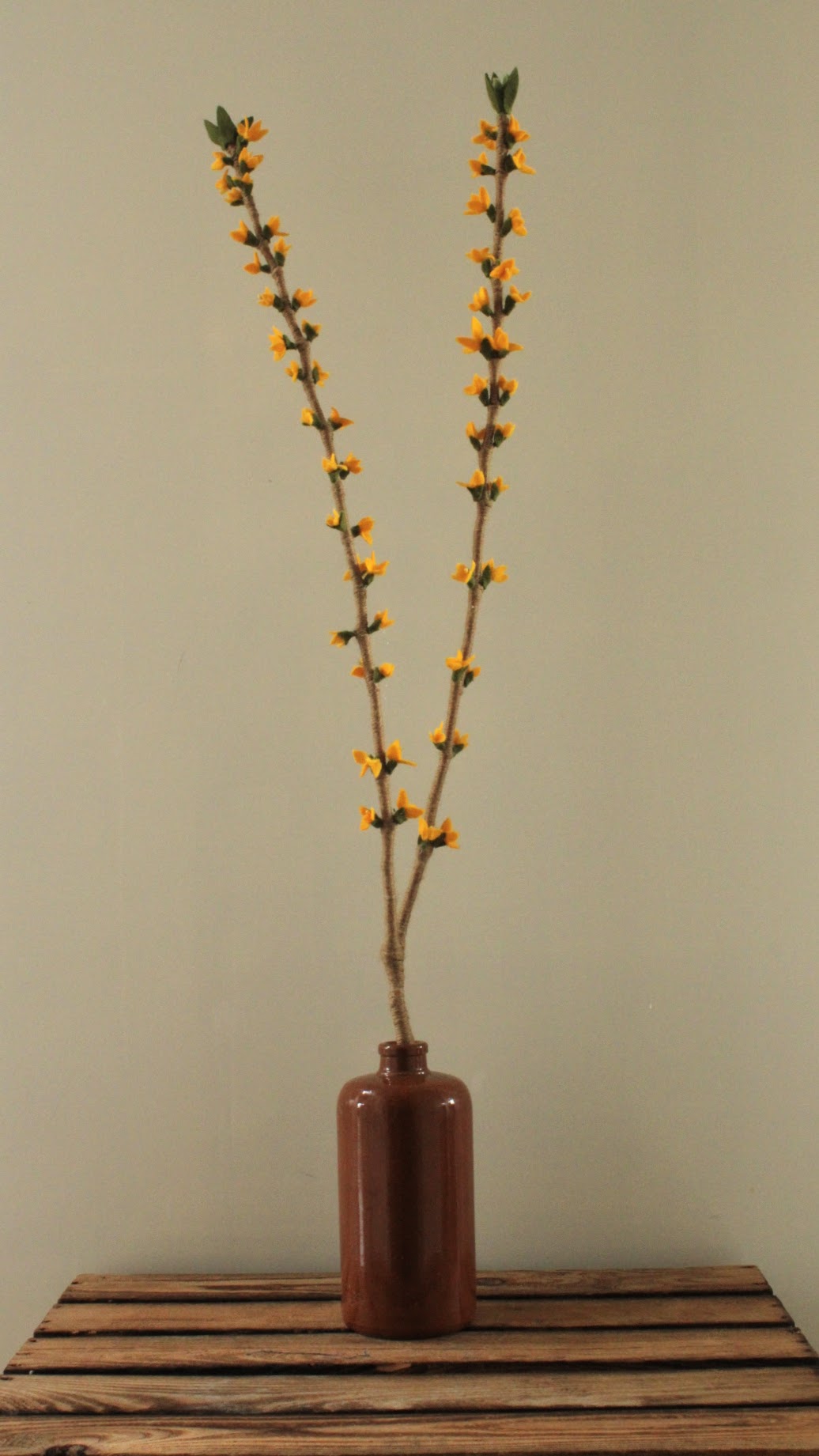 Grote tak Forsythia