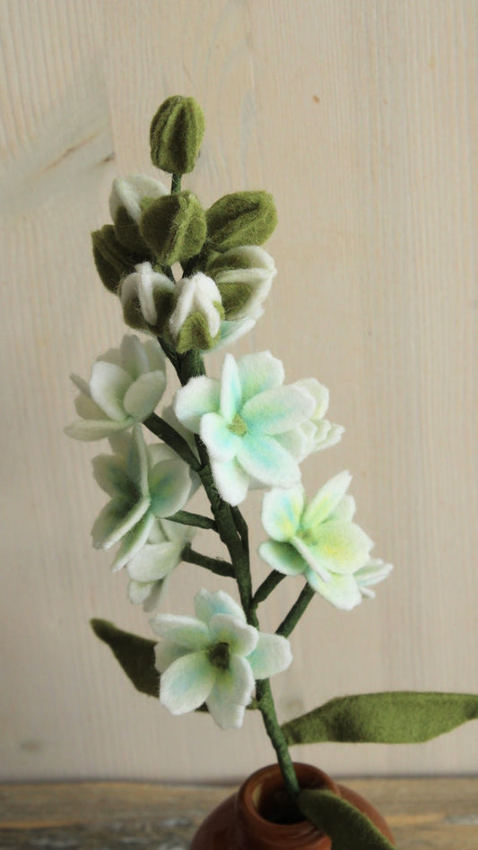 closeup van een witte vilten violier in een bruine fles met een liechte achtergrond