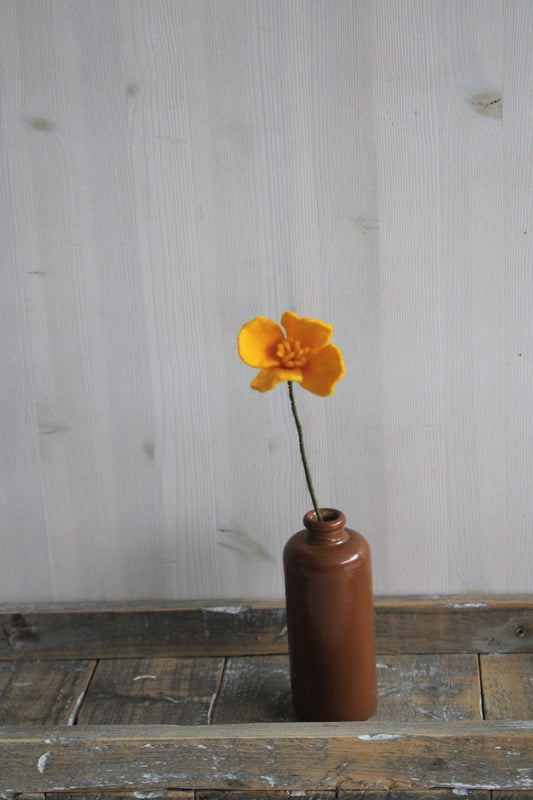 Poppy (California poppy)
