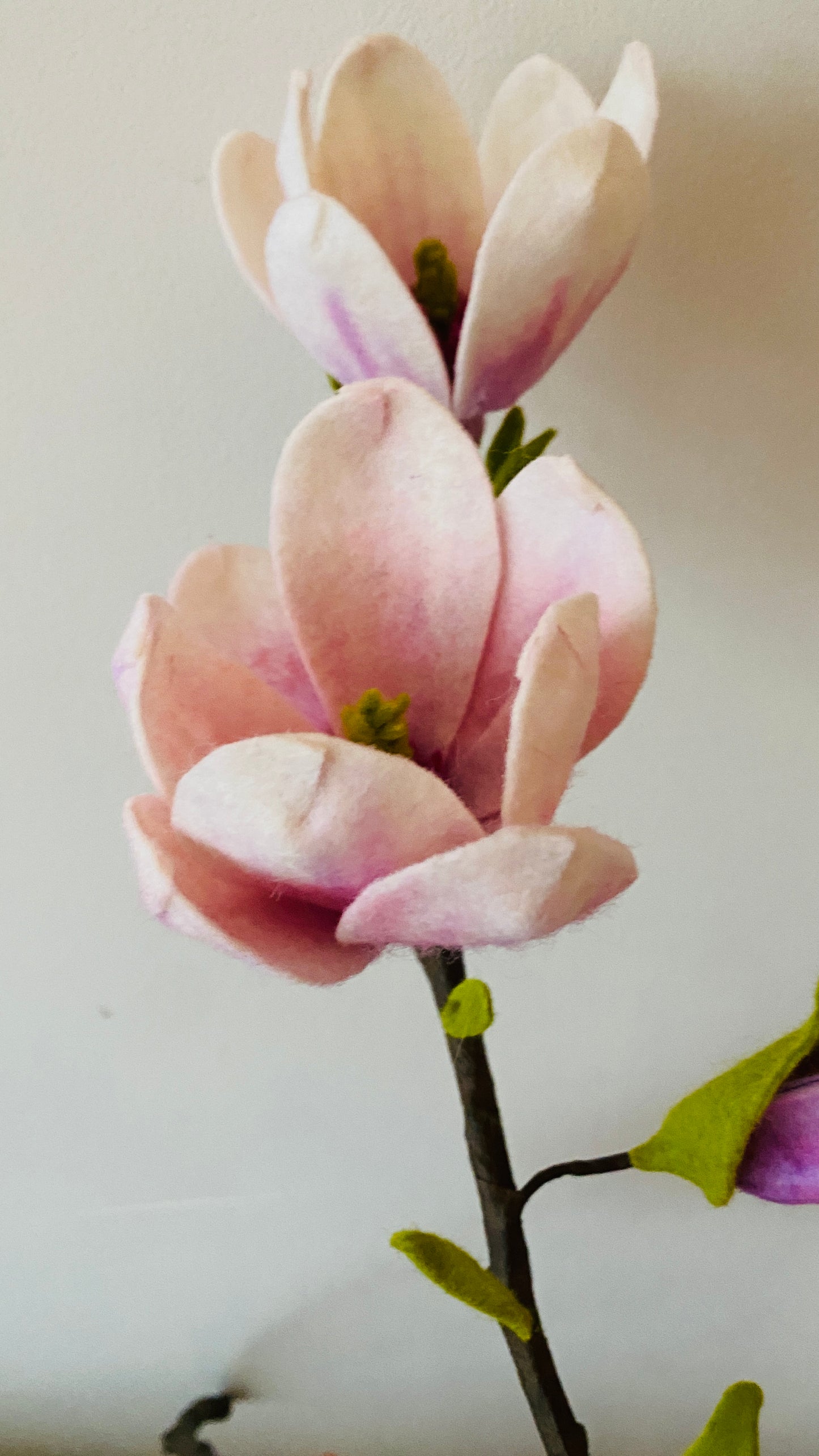 magnolia bloemen van dichtbij, handgemaakt van 100% wolvilt
