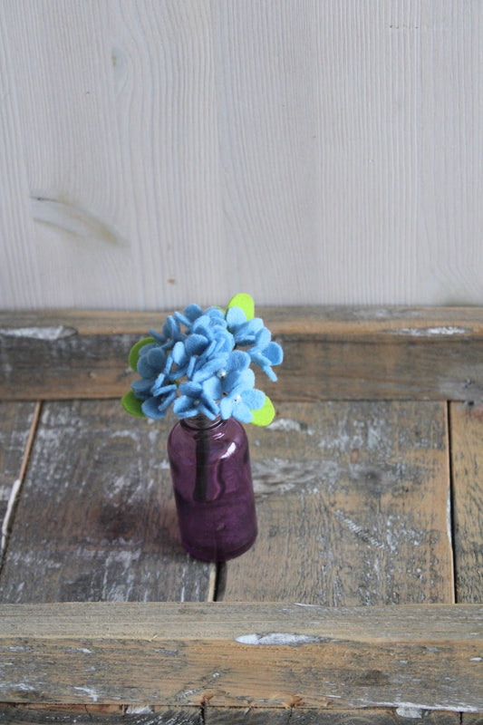 Hydrangea