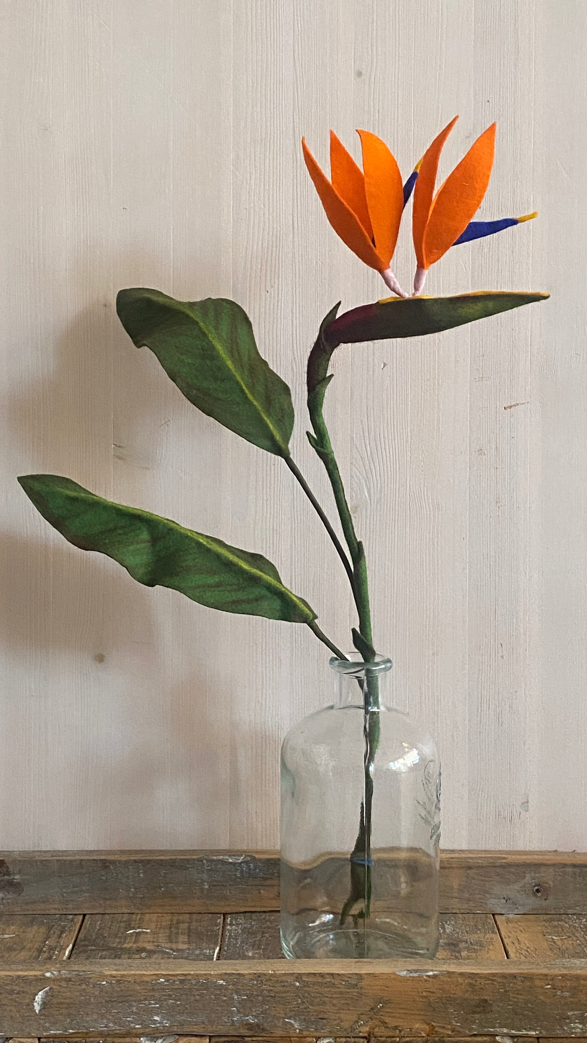 Handgemaakte strelitzia, bird of paradise van vilt met twee kelkbladeren