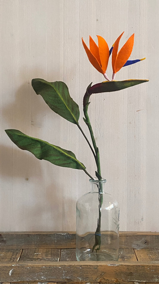 Handgemaakte strelitzia, bird of paradise van vilt met twee kelkbladeren