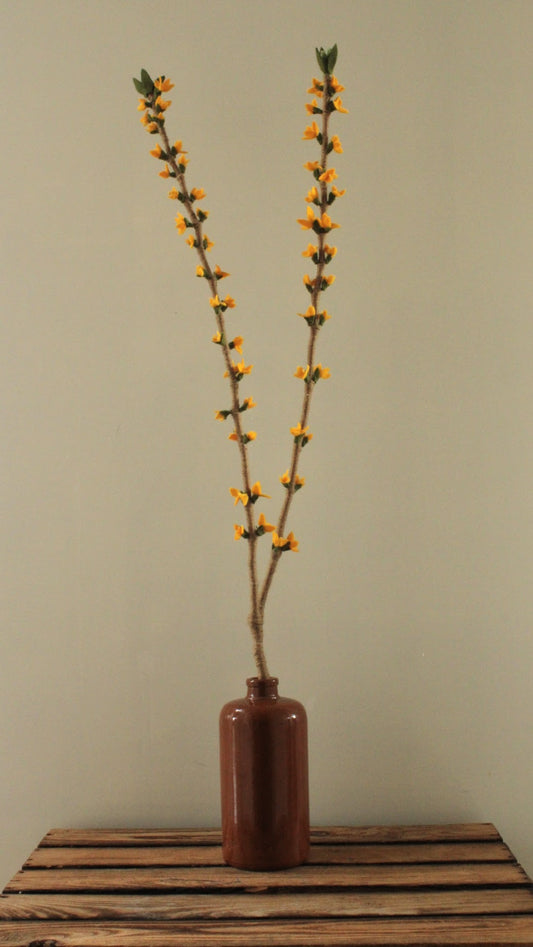 Grote tak Forsythia